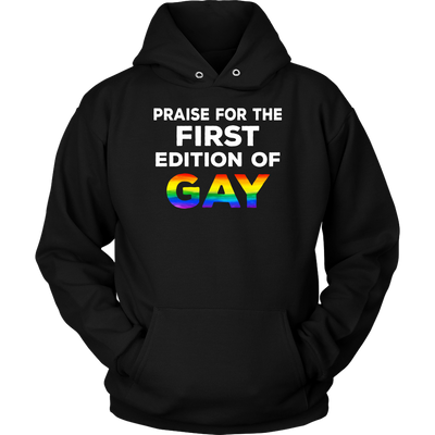 PRAISE-FOR-THE-FIRST-EDITION-OF-GAY-LGBT-SHIRTS-gay-pride-rainbow-lesbian-equality-clothing-women-men-unisex-hoodie