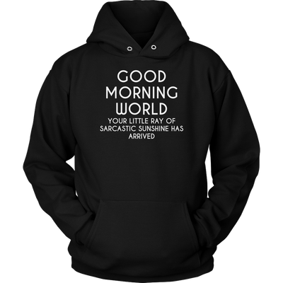 Good-Morning-World-Your-Little-Ray-of-Sarcastic-Sunshine-Has-Arrived-Shirt-funny-shirt-funny-shirts-humorous-shirt-novelty-shirt-gift-for-her-gift-for-him-sarcastic-shirt-best-friend-shirt-clothing-women-men-unisex-hoodie