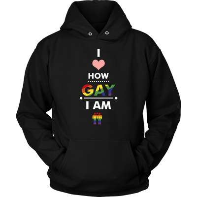 I-Love-How-Gay-I-Am-Shirts-LGBT-SHIRTS-gay-pride-shirts-gay-pride-rainbow-lesbian-equality-clothing-women-men-unisex-hoodie