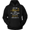 I-Get-My-Attitude-From-Well-Pretty-Much-All-of-The-Women-I'm-Related-To-Shirts-baby-girl-shirt-niece-shirt-family-shirts-funny-shirts-birthday-gift-clothing-women-men-unisex-hoodie