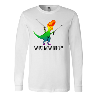 What-Now-Bitch Shirt-LGBT-SHIRTS-gay-pride-shirts-gay-pride-rainbow-lesbian-equality-clothing-women-men-long-sleeve-shirt