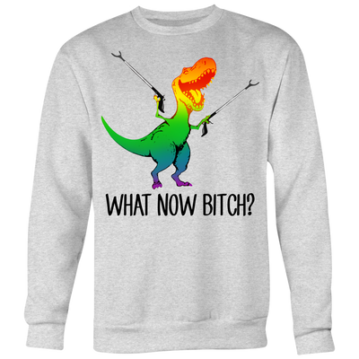 What-Now-Bitch Shirt-LGBT-SHIRTS-gay-pride-shirts-gay-pride-rainbow-lesbian-equality-clothing-women-men-sweatshirt