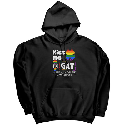 Kiss Me I'm Gay or Irish or Drunk or Whatever Shirt, LGBT Shirt