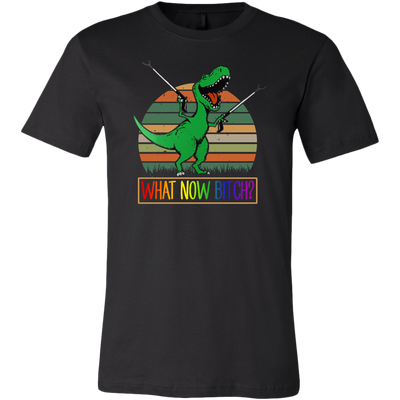 Dinosaurs-What-Now-Bitch-Shirt-LGBT-SHIRTS-gay-pride-shirts-gay-pride-rainbow-lesbian-equality-clothing-men-shirt