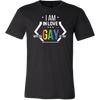 I-AM-IN-LOVE-WITH-THE-GAY-OF-YOU-gay-pride-shirts-lgbt-shirts-rainbow-lesbian-equality-clothing-men-shirt
