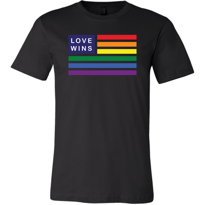 LGBT T-Shirt. LGBT Shirt. Love Wins Shirt 2018. LGBT Gay Lesbian Pride Shirt 2018. T-shirt 2018