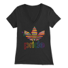 LGBT T-shirt. LGBT shirt. Pride Shirt. LGBT Gay Lesbian Pride Shirt. T-shirt