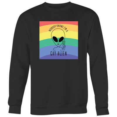 Nobody-Knows-I'm-a-Gay-Alien-Shirts-LGBT-SHIRTS-gay-pride-shirts-gay-pride-rainbow-lesbian-equality-clothing-women-men-sweatshirt