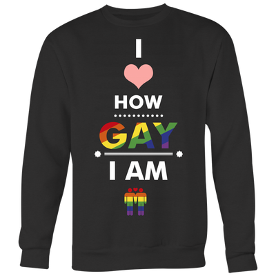 I-Love-How-Gay-I-Am-Shirts-LGBT-SHIRTS-gay-pride-shirts-gay-pride-rainbow-lesbian-equality-clothing-women-men-sweatshirt