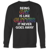 Being-Gay-is-Like-Glitter-It-Never-Goes-Away-Shirt-LGBT-SHIRTS-gay-pride-shirts-gay-pride-rainbow-lesbian-equality-clothing-women-men-sweatshirt