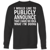 I-Would-Like-To-Publicly-Announce-That-I-Have-No-Idea-What-I-m-Doing-Shirt-funny-shirt-funny-shirts-sarcasm-shirt-humorous-shirt-novelty-shirt-gift-for-her-gift-for-him-sarcastic-shirt-best-friend-shirt-clothing-women-men-sweatshirt