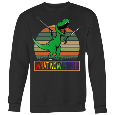 Dinosaurs-What-Now-Bitch-Shirt-LGBT-SHIRTS-gay-pride-shirts-gay-pride-rainbow-lesbian-equality-clothing-women-men-sweatshirt