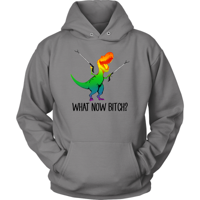 What-Now-Bitch Shirt-LGBT-SHIRTS-gay-pride-shirts-gay-pride-rainbow-lesbian-equality-clothing-women-men-unisex-hoodie