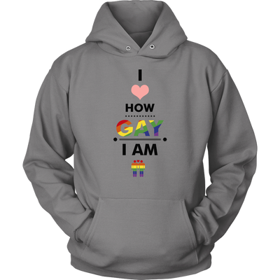I-Love-How-Gay-I-Am-Shirts-LGBT-SHIRTS-gay-pride-shirts-gay-pride-rainbow-lesbian-equality-clothing-women-men-unisex-hoodie