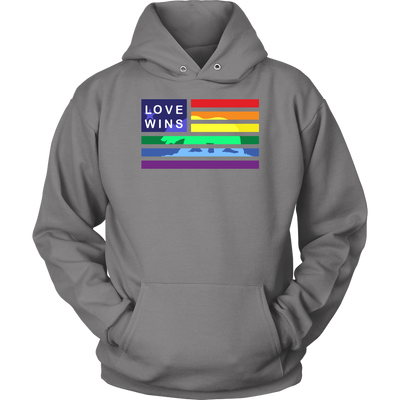 LOVE-WINS-BEAR-lgbt-shirts-gay-pride-rainbow-lesbian-equality-clothing-women-men-unisex-hoodie